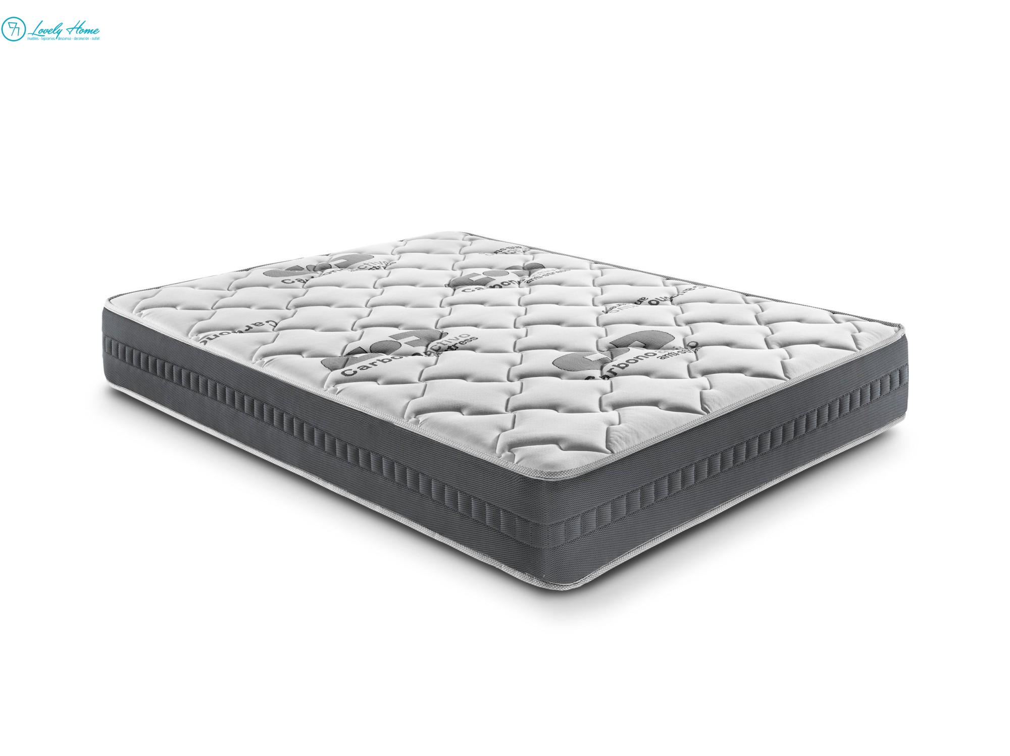 CARBONO PLUS - Imagen 2