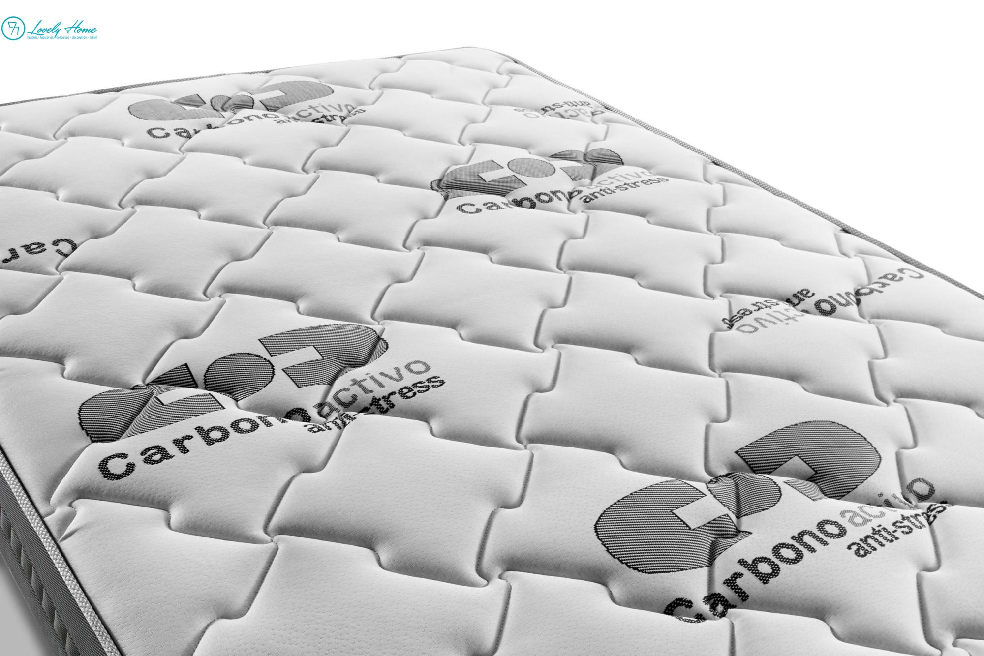 CARBONO PLUS - Imagen 4